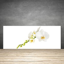 Kitchen Splashback 125x50 Tempered Glass Flowers Floral