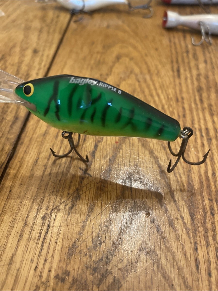 BAGLEY DIVING RIPPLE B 3 FISHING LURE H69T JIM MURATA (PB1) | eBay