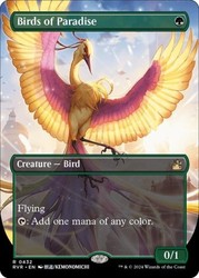 Birds of Paradise (Anime Borderless) #432 Ravnica Remastered