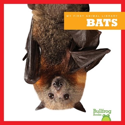 Bats (Bullfrog Books: My First Animal Library) - library Martha E. H. Rustad