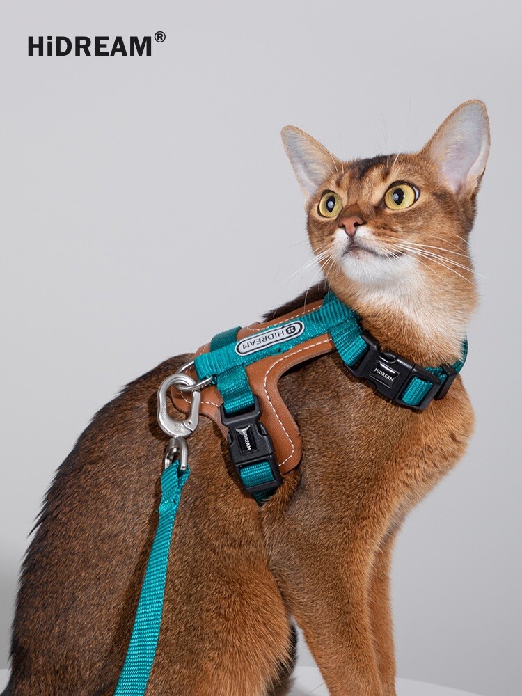 Breathable Pupteck Adjustable Cat Harness Nylon Strap Collar With