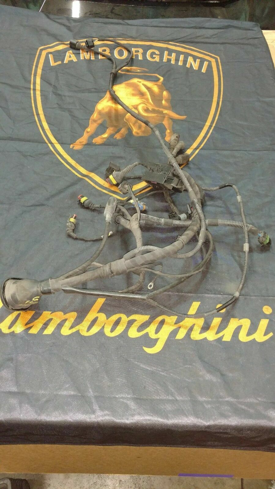 LAMBORGHINI GALLARDO FRONT LEFT DRIVER SIDE WIRING HARNESS PIG TAILS 