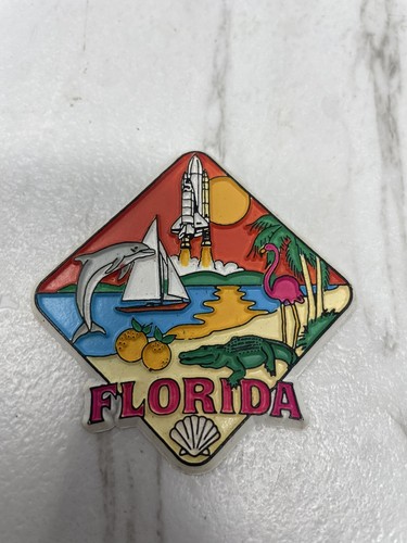 Florida's Dolphin Souvenir & Travel Memorabilia Refrigerator Magnet