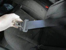 FUSION    2010 Seat Belt Rear 348592