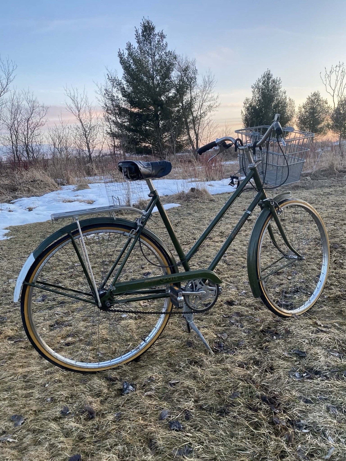 Green Steel Women's Cruiser Bike with Basket, Fenders, Rear 