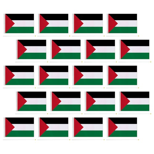 20 Pcs Hand Waving Flag Palestinian Flags Mini Handheld Palestine - Picture 11 of 12