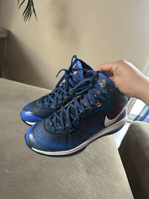 lebron 8 ebay