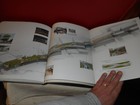 Bild 5 von 12