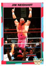 RARE - 1995 Merlin WWF - Jim Neidhart 54 /180 - wwf hasbro panini titan sports