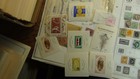Foto 7 di 22