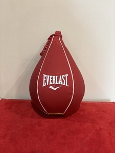 Red/Burgundy Everlast Gyro Balanced Leather Speed punching bag