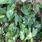 Picture 7 of 7