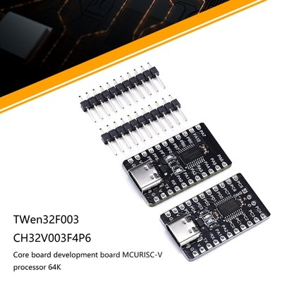 TWen32F003 Development Board with Powerful RISC V Processor CH32V003F4P6