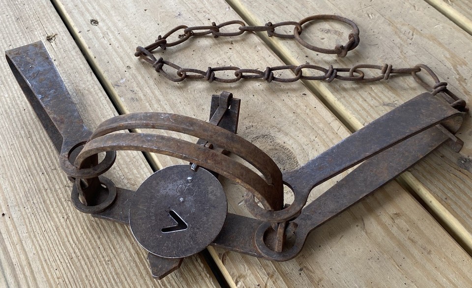 Antique Victor Double Long Spring Trap No. 3 with Offset Jaws And Chain ...