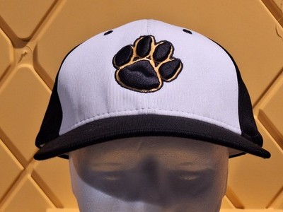 Clemson Tigers Richardson Brand Stretch Baseball Cap LG-XL