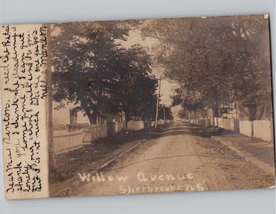 c1912 Willow Avenue Street View Sherbrooke Quebec QC RPPC Real Photo Postcard