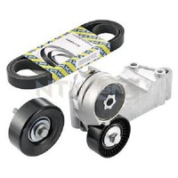 Keilrippenriemensatz FüR Ford Focus DAW DBW DFW DNW 1.8 98 Bis 05 SNR Bhdb Bhda