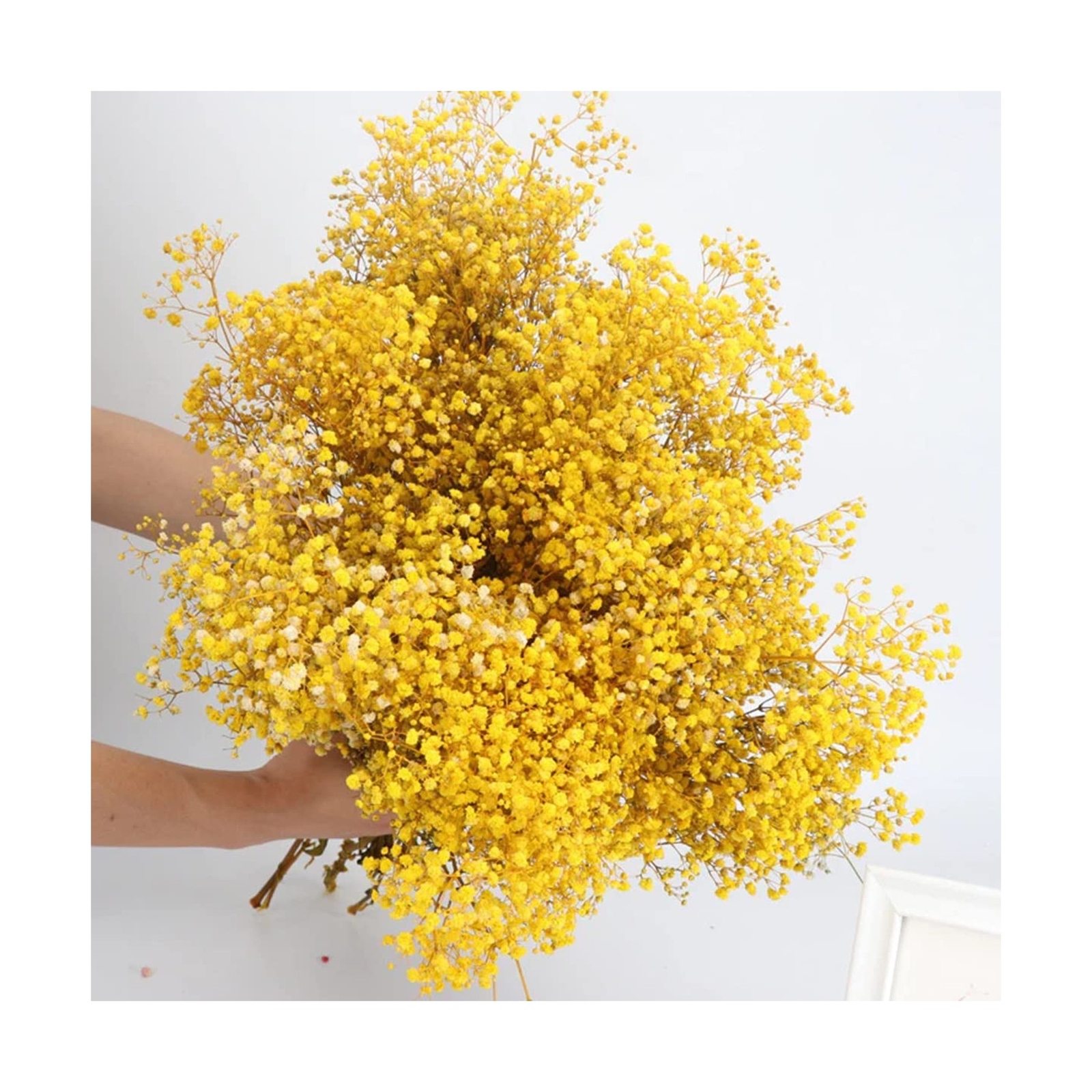 Dried-Flowers-Babys-Breath-Bouquet 17.2 inches 2500+ Flowers, Natural Gypsoph...-image