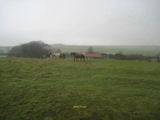Photo 12x8 Horses Grazing in Field West Lutton With Thirkleby Manor Farm b c2010