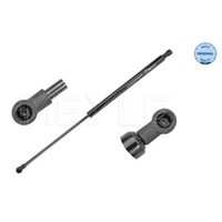 Meyle Gasfeder DäMpfer Heckklappe FüR Renault Laguna II BG0/1_ 2.0 16V