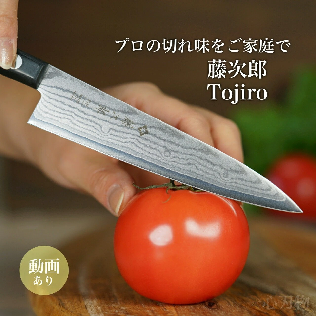 Tojiro Petty Knife 135mm Damascus VG10 Stainless Japan Pro Chef Gift