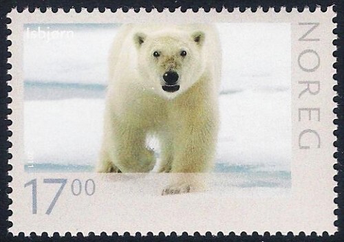 Norway 2011 - Wildlife - White Bear - Picture 1 of 1