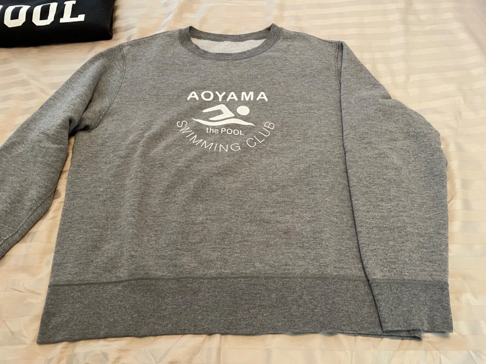 Felpa con cappuccio The POOL AOYAMA grigio grande non rick owens supreme XL cappello medio