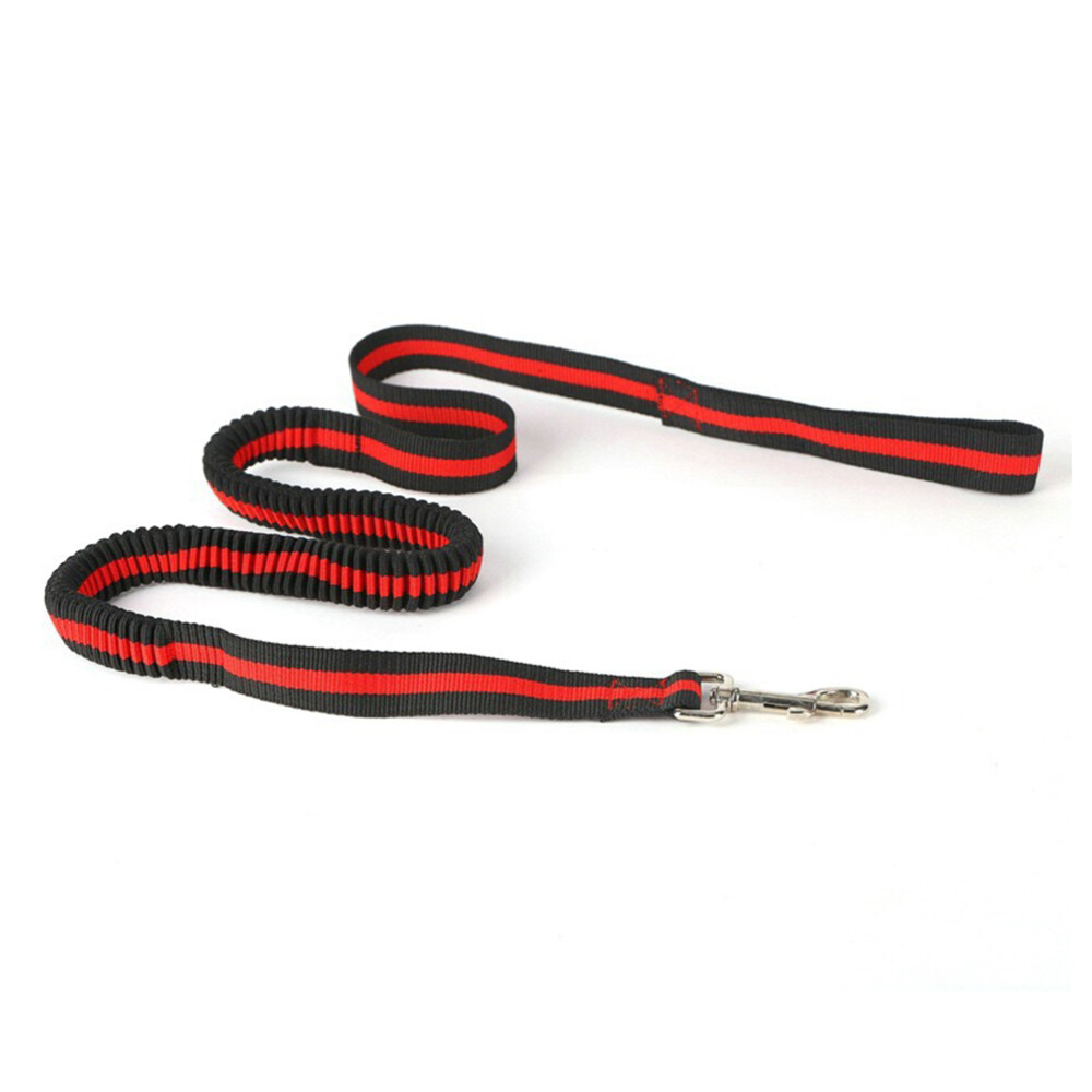 Hands Free Waist Pet Leash Elastic Dog Bungee Leash for Pets Running