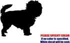 Affenpinscher Dog Vinyl Decal Sticker Car Truck window Various Sizes