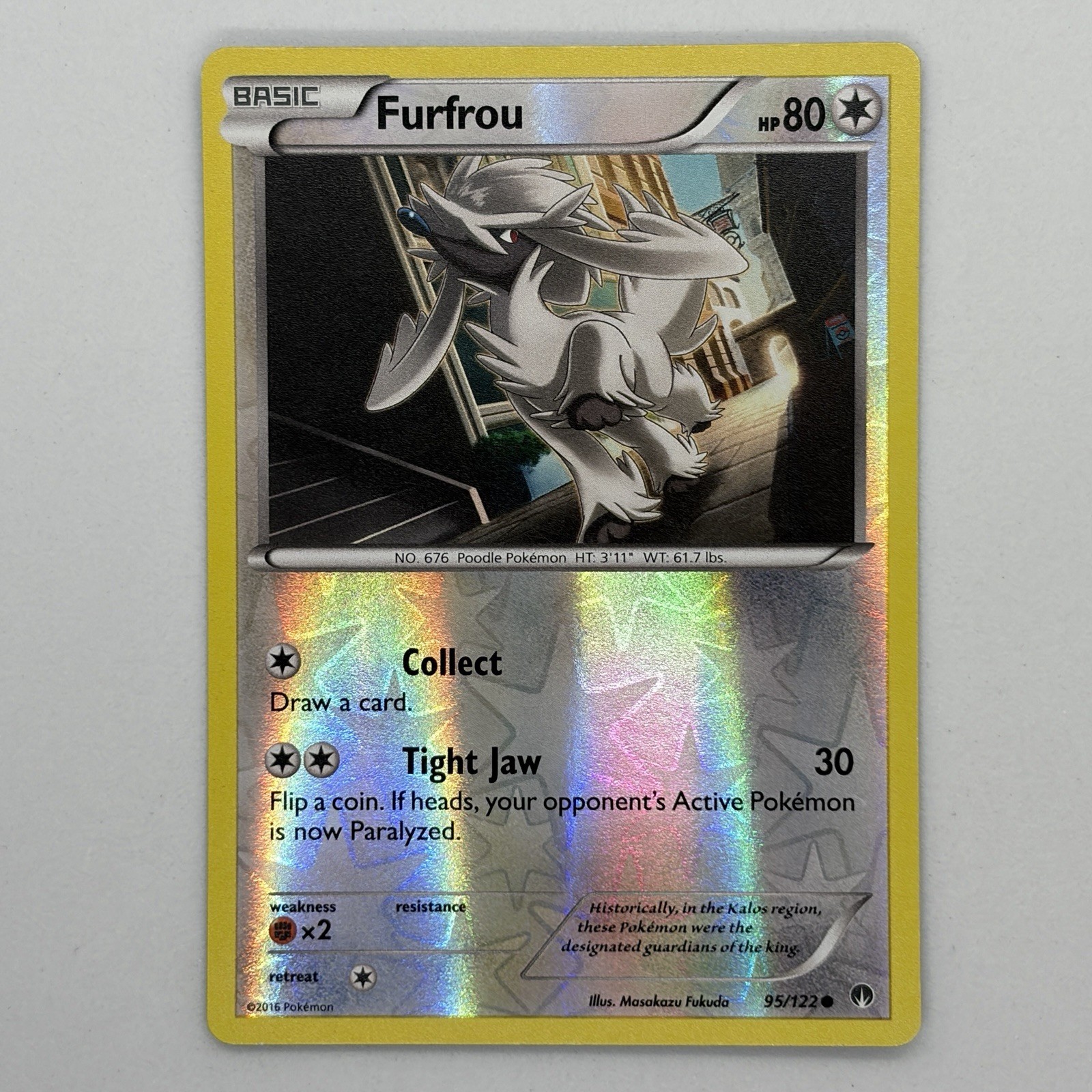 Furfrou 95/122 Common Reverse Holo Pokemon Card LP
