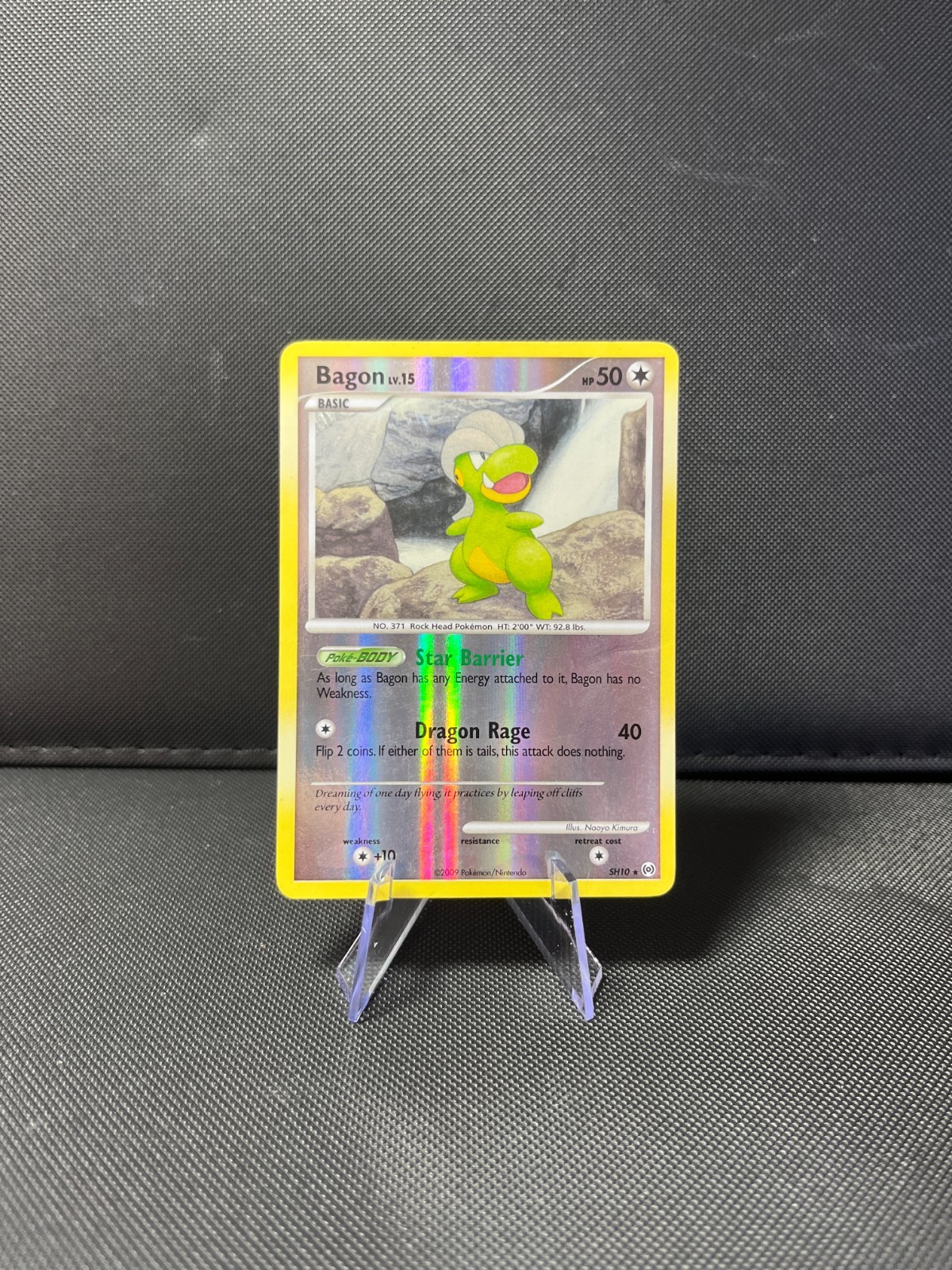 Bagon SH10 Arceus Shiny Holo Rare Pokemon LP
