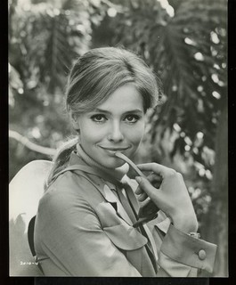 EVA RENZI in The PINK JUNGLE Original 1968 Sexy Glamour Still vv