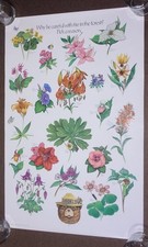 Vintage 1980s US Forest Service Smokey Bear 20x30 Flower Poster 82-CFFP-7