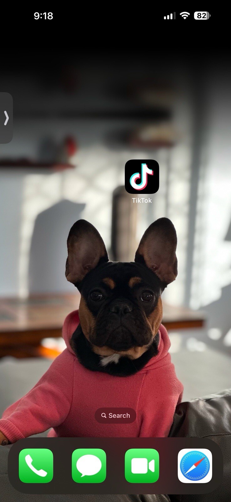 iPhone 14 Pro Max With TikTok (purple)