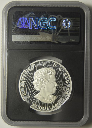 2021 Canadian Buffalo $25.00 Silver Medal NGC PF-70 Ultra Cameo Extraordinary Hi - Picture 2 of 2