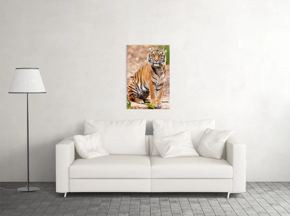 Tigre psicodélico animales salvajes África gato arte de pared decoración del hogar - PÓSTER 20x30 Foto 2 de 3