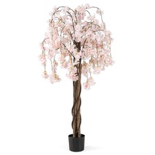 Image of 1.7M Fake Cherry Blossom Tree with 10 Branch Tips 720 Blossoms White