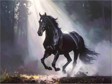 Tile Mural Running Black Stallion Galloping Horse Kitchen Shower Wall Backsplash