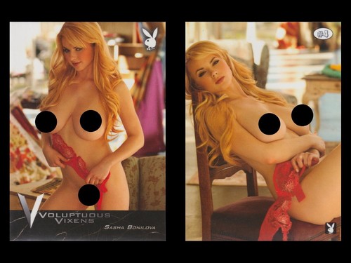 Playboy Trading Cards - Voluptuous Vixens (01) - Bild 14 von 28