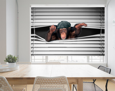 Affe trägt Schirmmütze bedrucktes Bild Foto Fenster Rollo Maßanfertigung