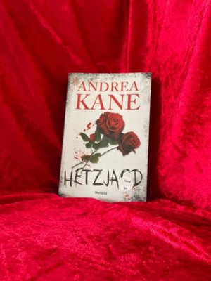 Hetzjagd : Thriller. Andrea Kane ; aus dem Amerikanischen von Karin Meddekis