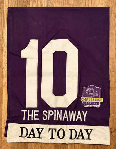 DAY TO DAY RACE WORN SADDLE CLOTH 2025 SPINAWAY STAKES GRADE 1 SARATOGA BC PATCH