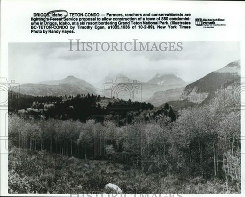 1989 Press Photo Mountains in Driggs, Idaho Near Grand Teton National Park - 第 2/4 張圖片