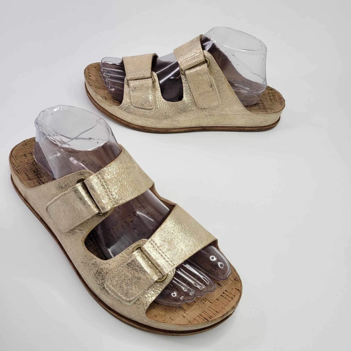 Kork ease torreya deals