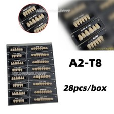 Dental Acrylic Resin Denture Teeth A2 T8 Full Set False Teeth Upper Lower