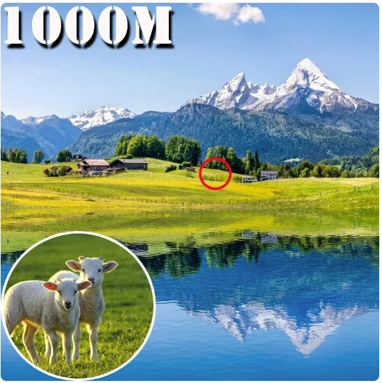 HD Fernglas Teleskop – Kompakt & Wasserdicht – Ideal für Outdoor & Jagd - Bild 2 von 4