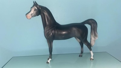 Peter Stone 2020 DAH Arabian Gelding