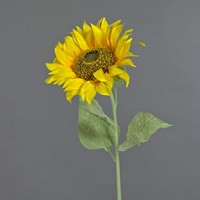 Artplants Sonnenblume KüNstlich Coraline, Gelb, 80Cm