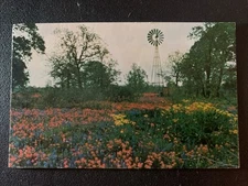 Vintage Postcard Splashes Of Color Texas Hill Country In Spring Souvenir