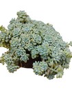 Foto 4 di 4